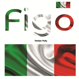 فیگو ( Figo )
